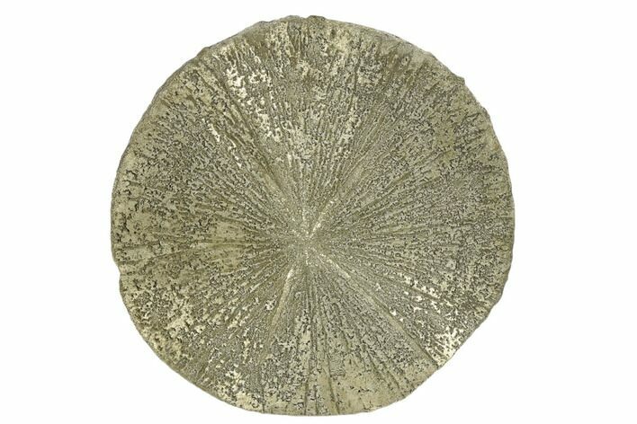Pyrite Sun - Sparta, Illinois #180654